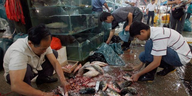 ​​​​​​​Seafood vendors prepare fresh fish at a wet market in Beijing, July 3, 2007. (Getty Images)